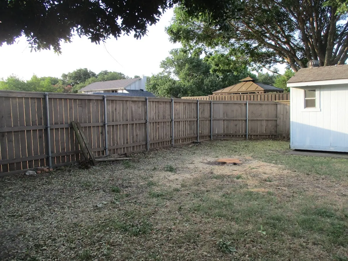Cleared yard after professional tree removal in Ligonier
