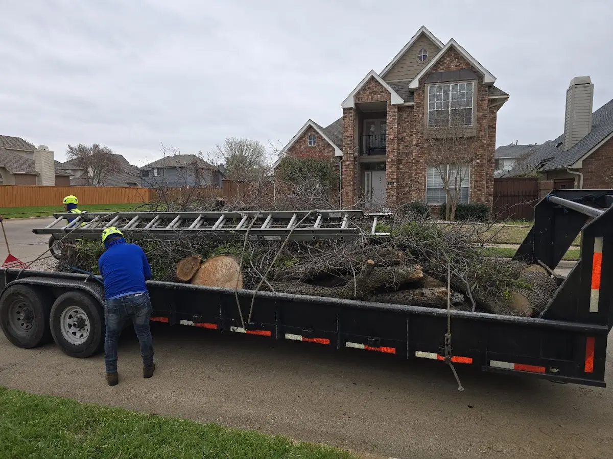 Expert Tree Pest Control with proper safety equipment in Ligonier